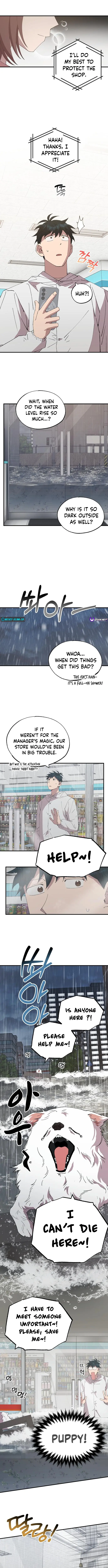 Magical Realm Shopkeeper Chapter 69 9